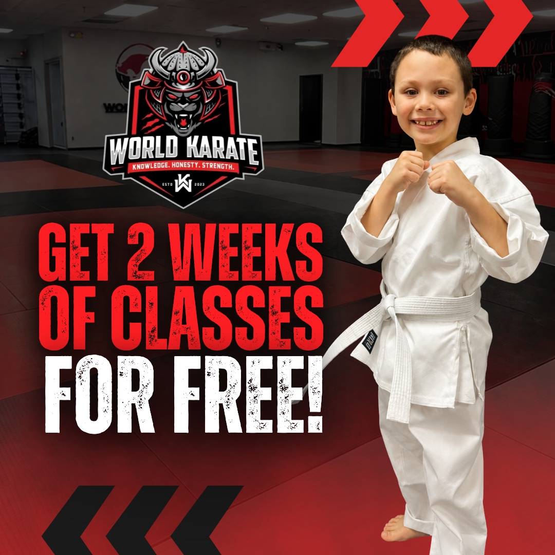 World Karate Facebook ad: GET STARTED NOW - Click Here