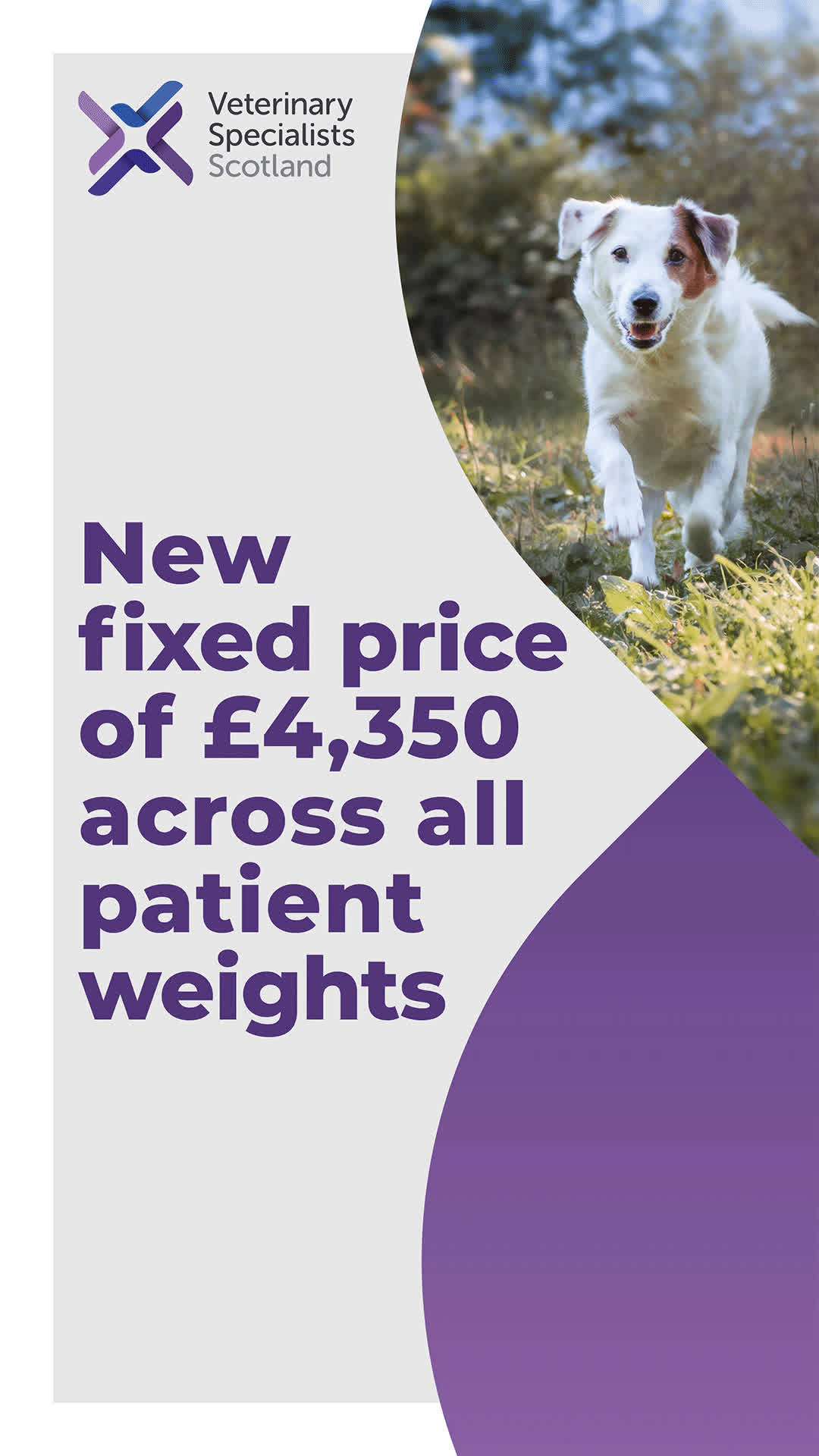 Veterinary Specialists Scotland Facebook ad: Learn more and refer
