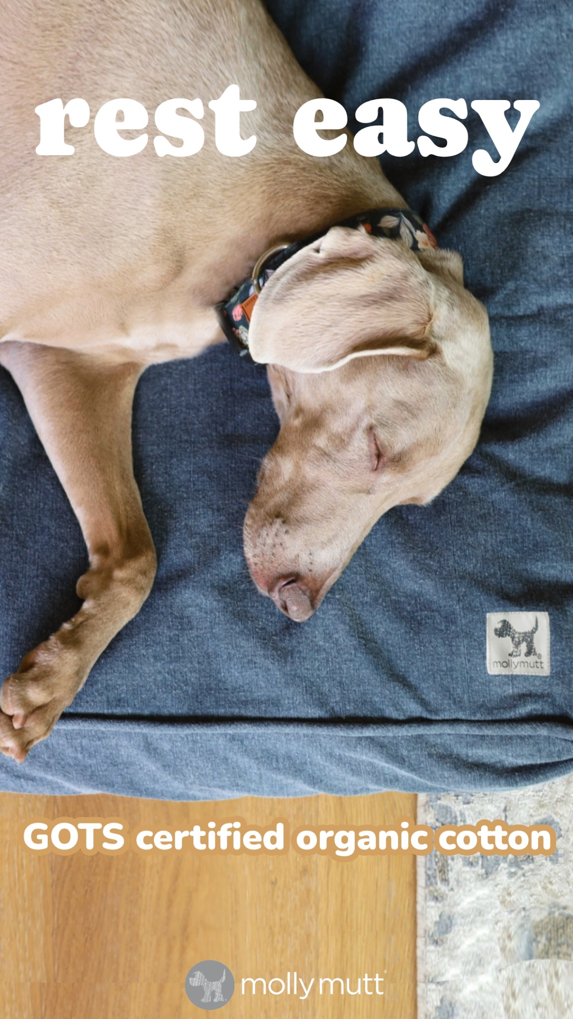 Molly Mutt Facebook ad