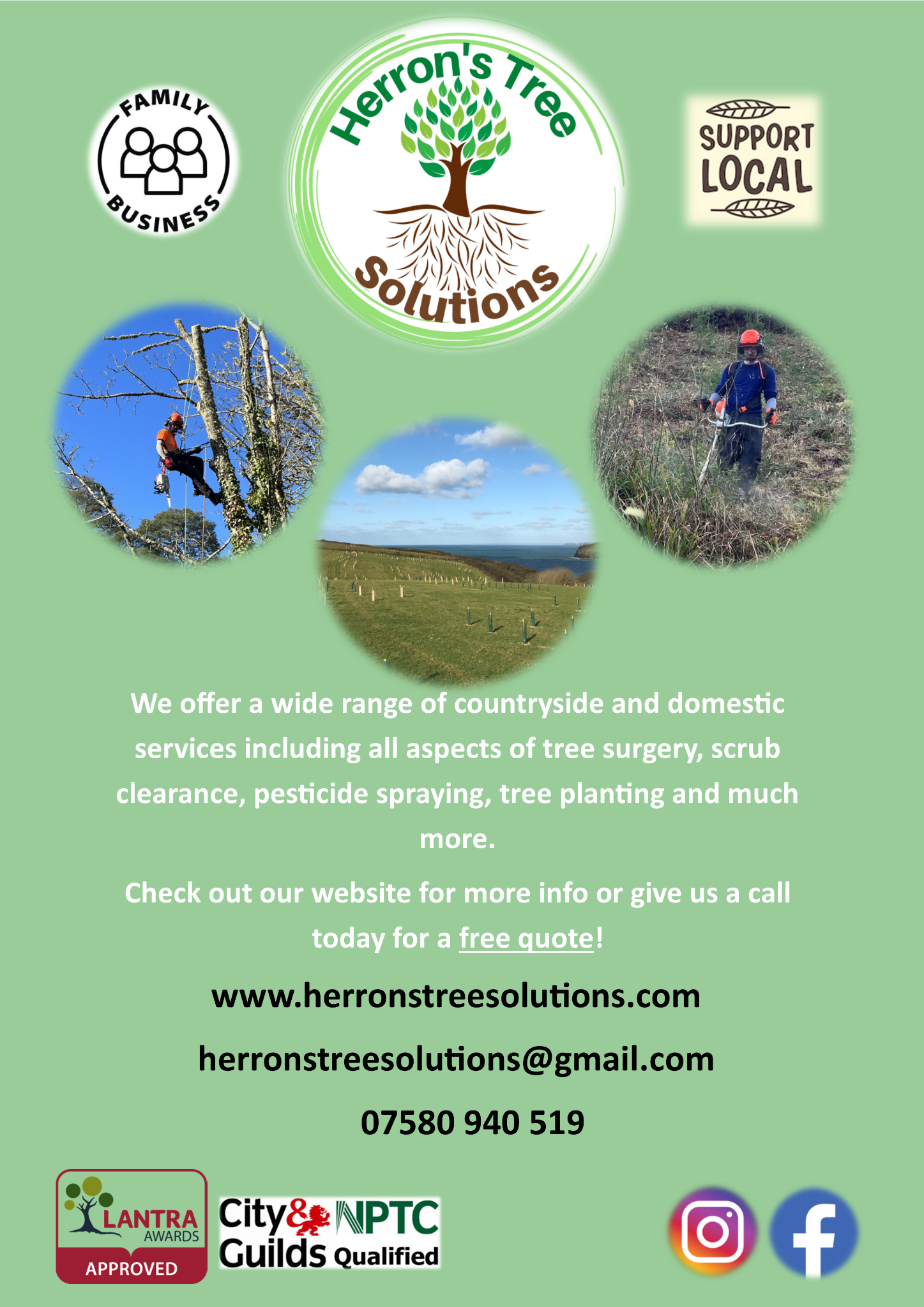 Herron’s Tree Solutions Facebook ad from Feb 21, 2025