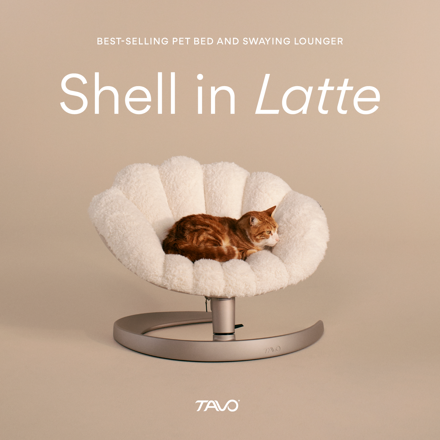 Chewy Facebook ad: Shell Pet Bed & Lounger