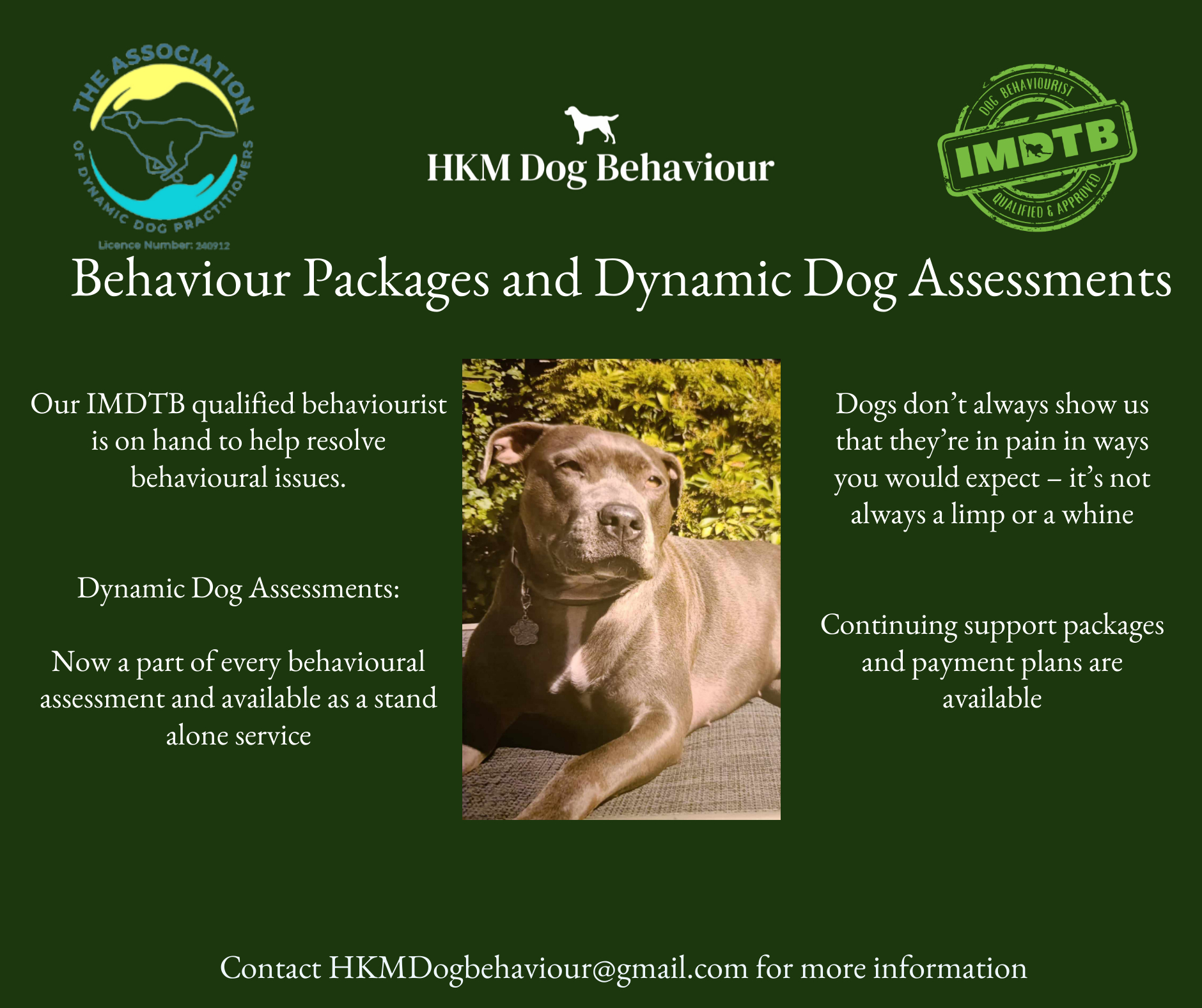 HKM Dog Sports Facebook ad: Did you know, we're not just all about…