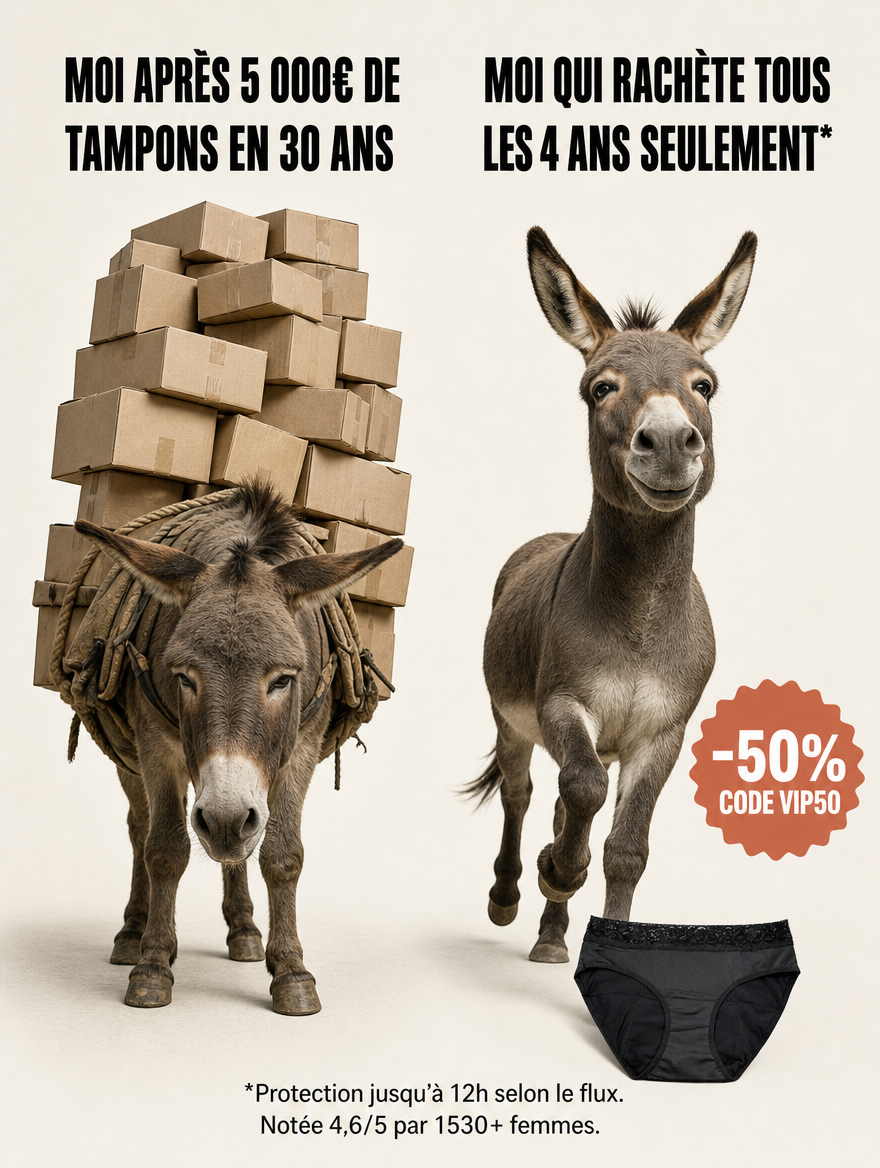 Blinx Facebook ad: La culotte qui change TOUT!