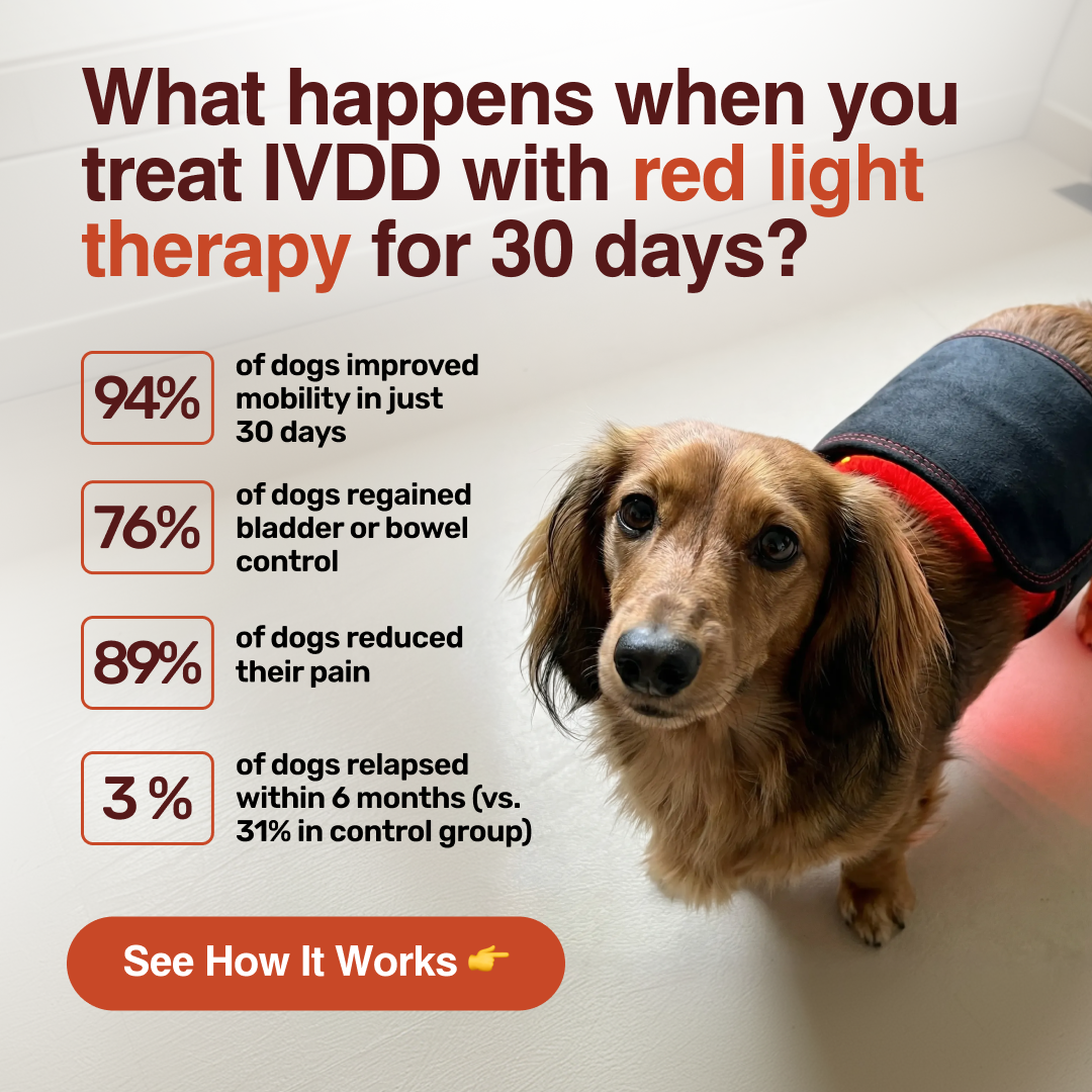 Amy's Dog Diary Facebook ad: Try PetGlow Risk-Free Today
