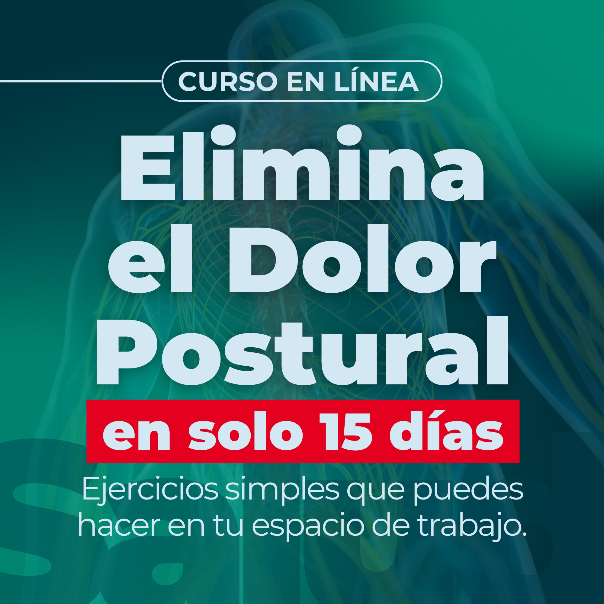 Silvinasabella584.tiendanube Facebook ad: Reeducación Postural en 15 Días: Adiós a los Dolores…