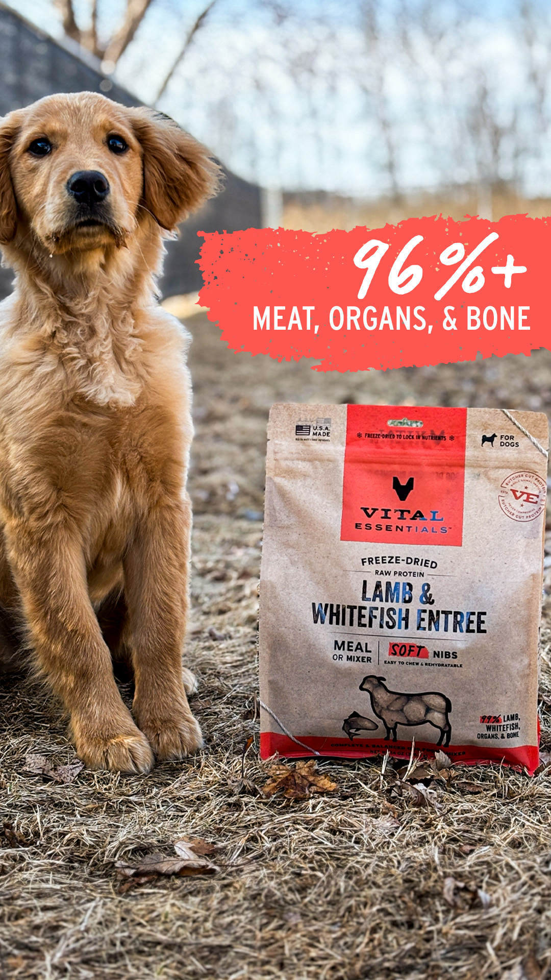 Vital Essentials Facebook ad