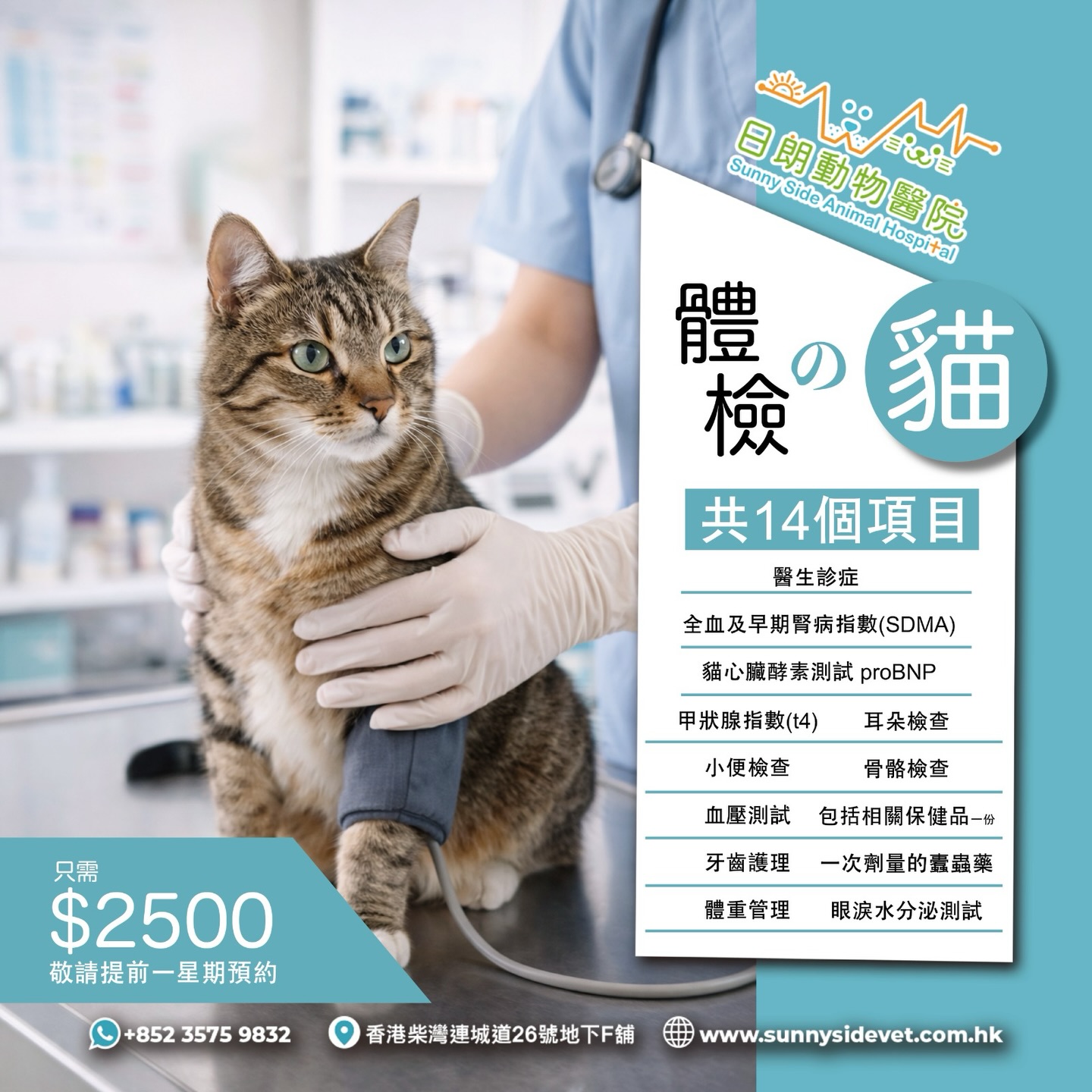 日朗動物醫院 Sunny Side Animal Hospital Facebook ad: 新一年係時候帶毛孩去身體檢查