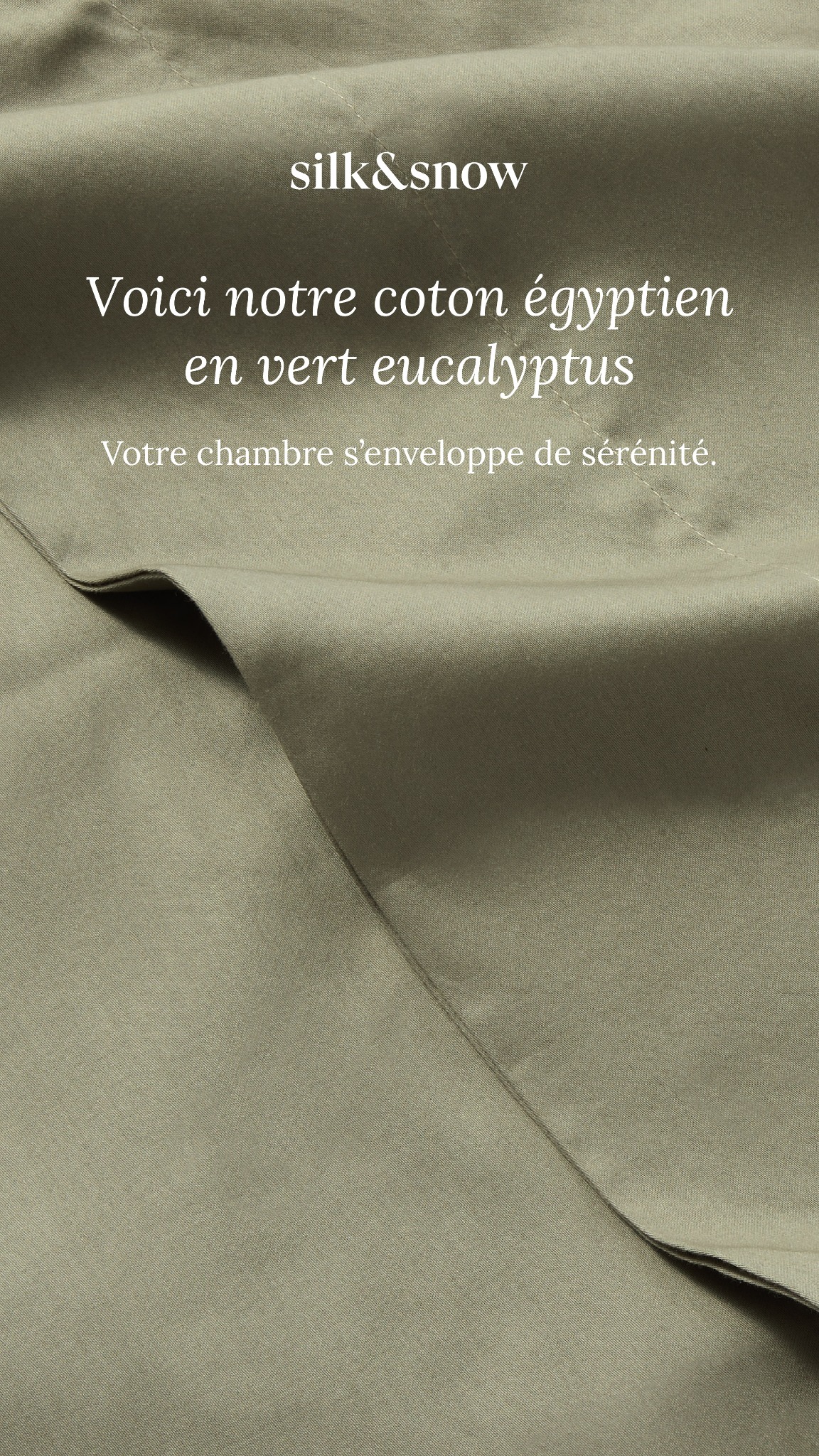 Maison Silk & Snow Facebook ad