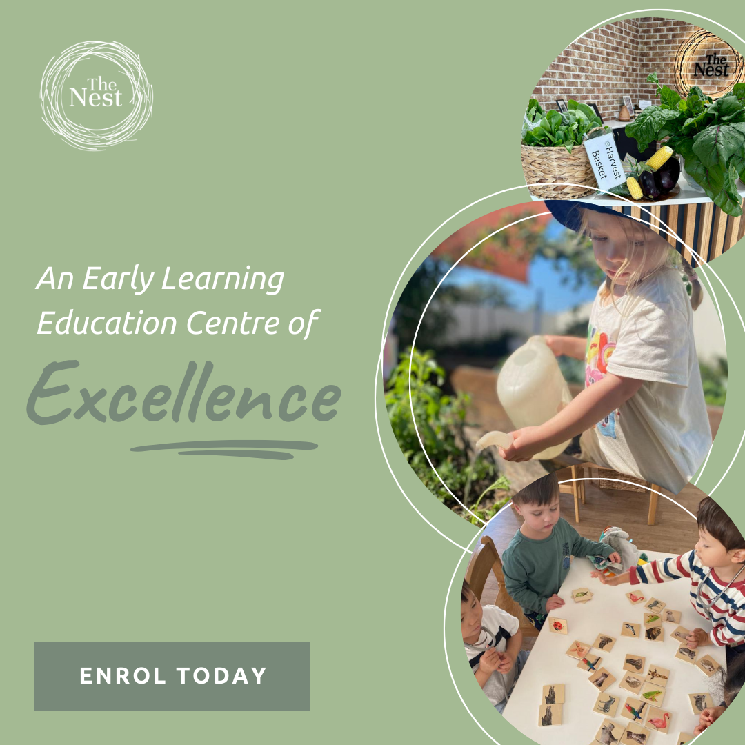 The Nest Early Education Facebook ad: Nutritious Meals Following The Healthy Eating Pyramid