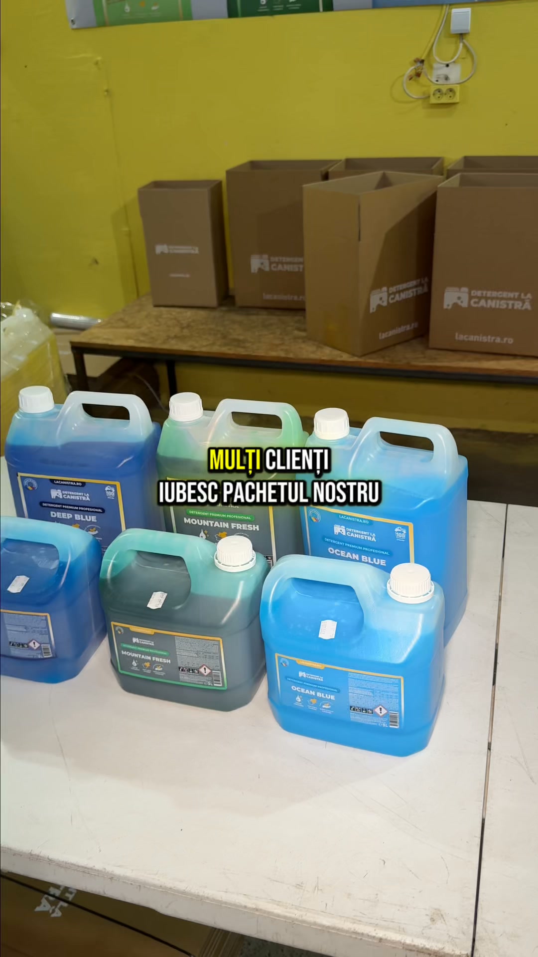 LaCanistra.ro Facebook ad: Abonament la Detergent
