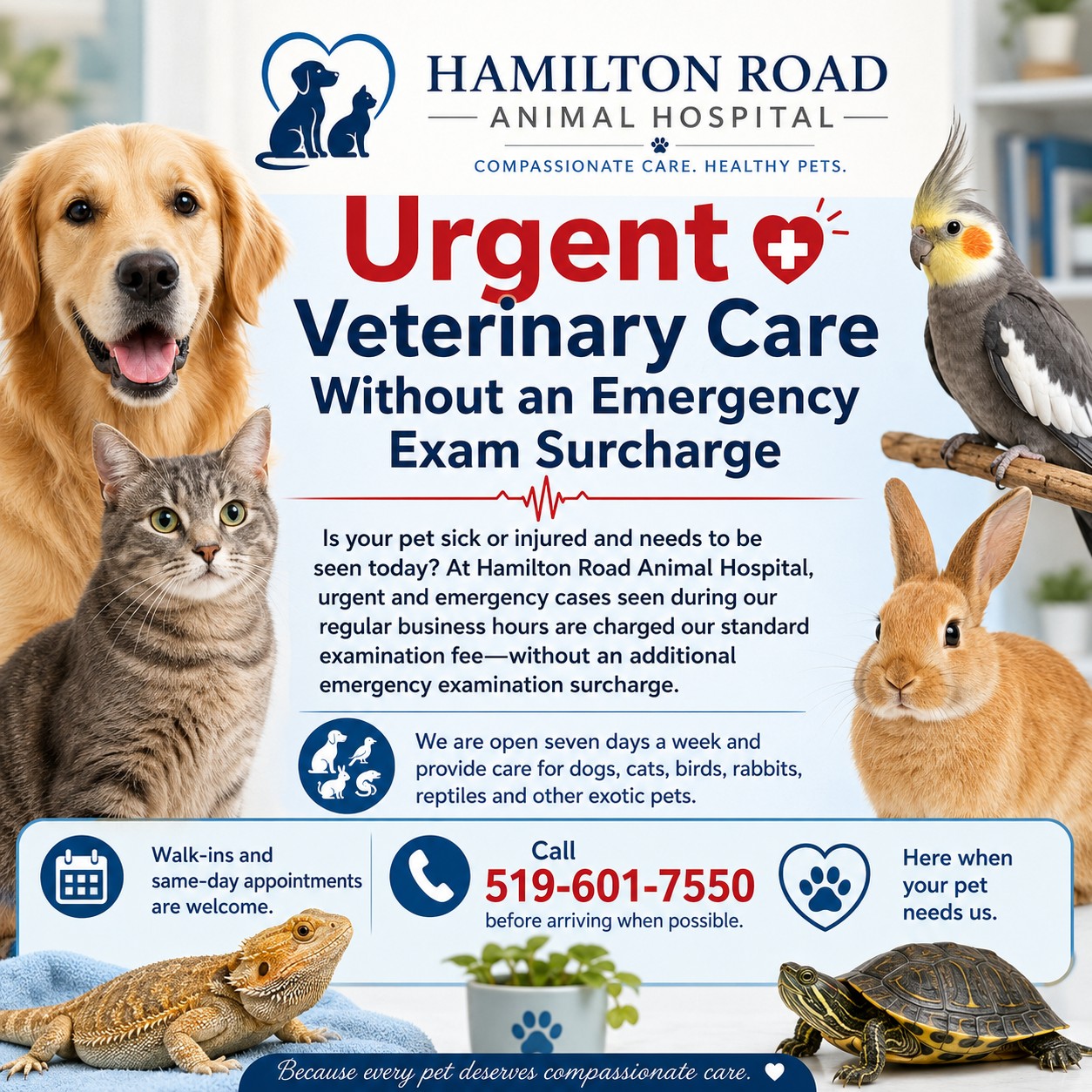 Hamilton Road Animal Hospital Facebook ad: Hamilton Road Animal Hospital - Veterinarians serving…