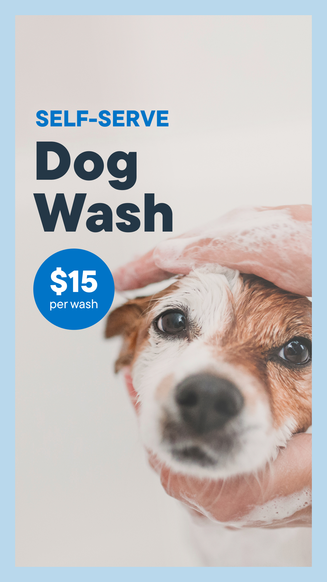 Pet Valu Facebook ad