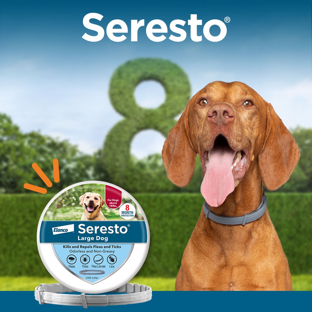 Pet Supplies Plus Facebook ad