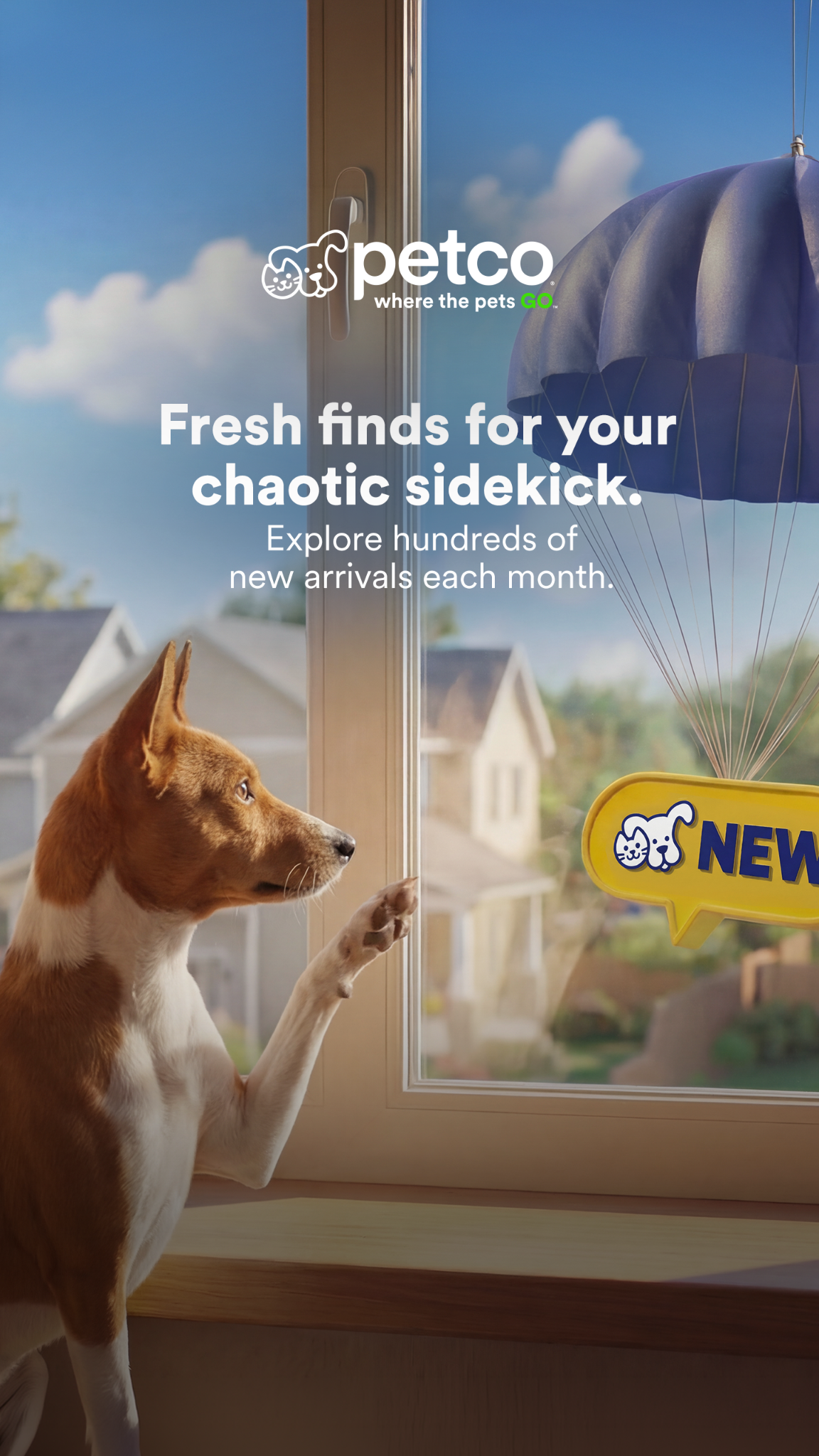 Petco Facebook ad