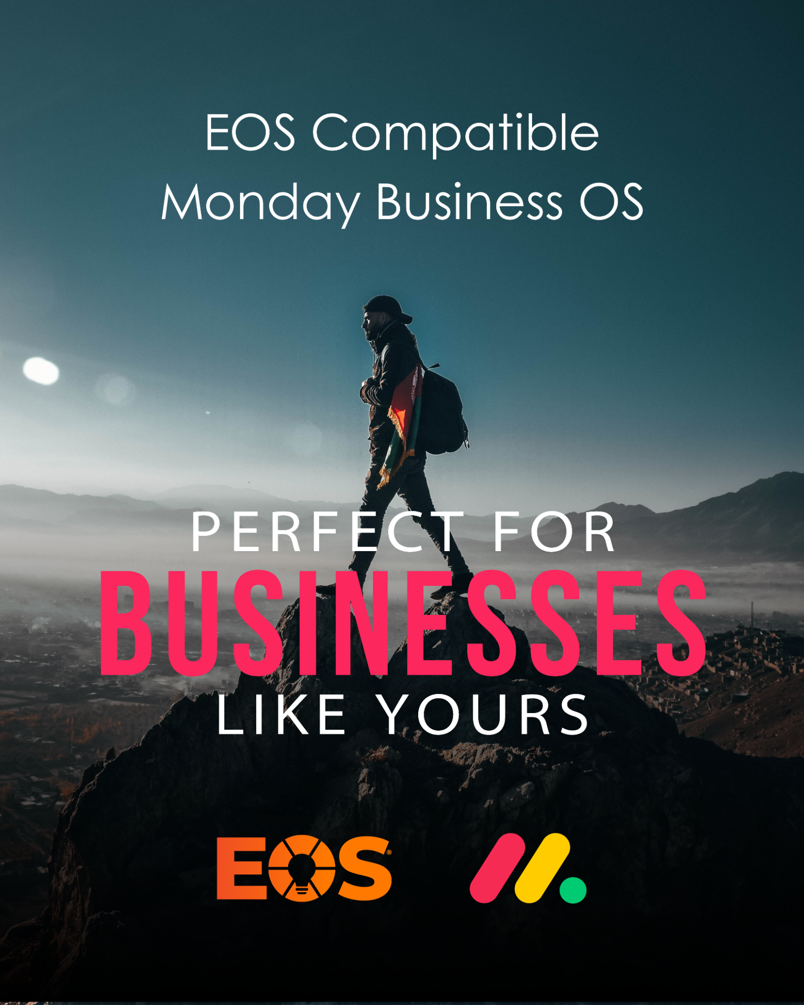 Camel Tech Facebook ad: Stop using disconnected tool. Run your company with EOS in…