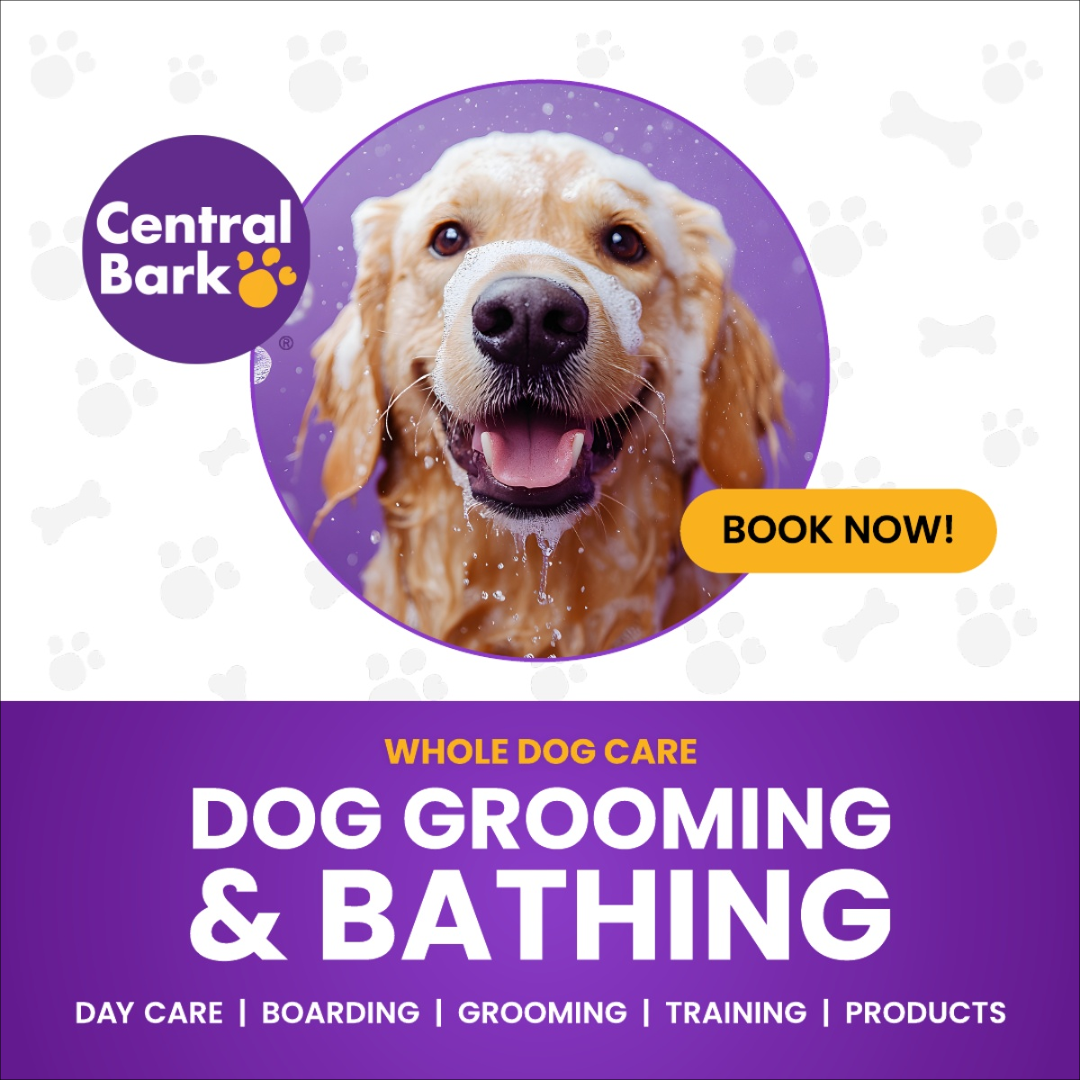 Central Bark Eugene, OR Facebook ad: Central Bark Eugene
