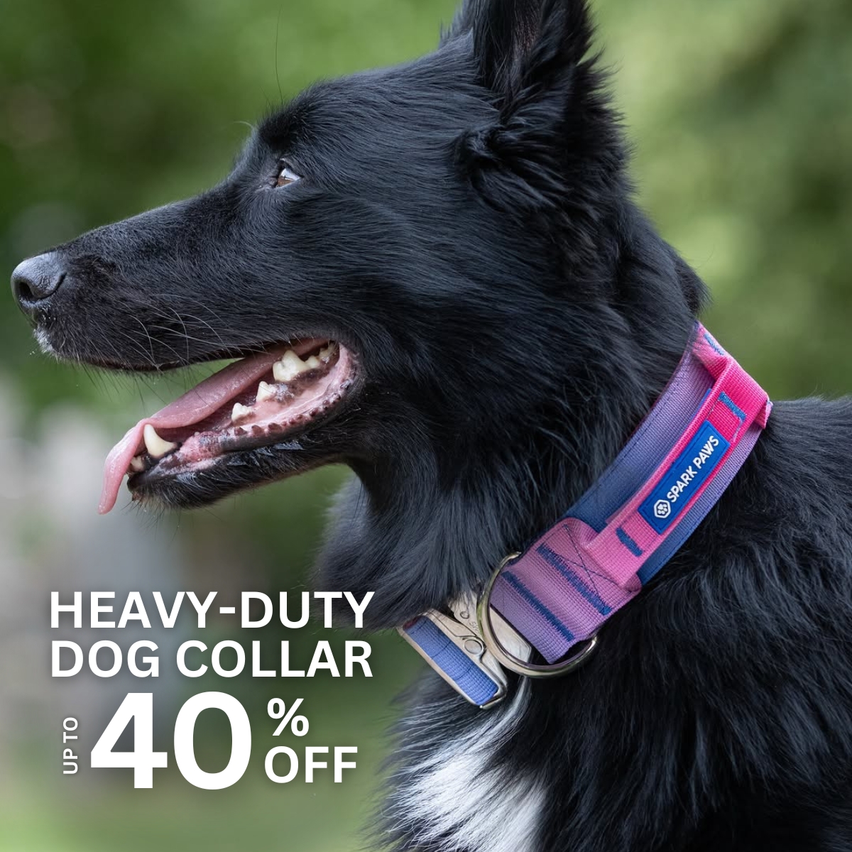 Spark Paws Facebook ad