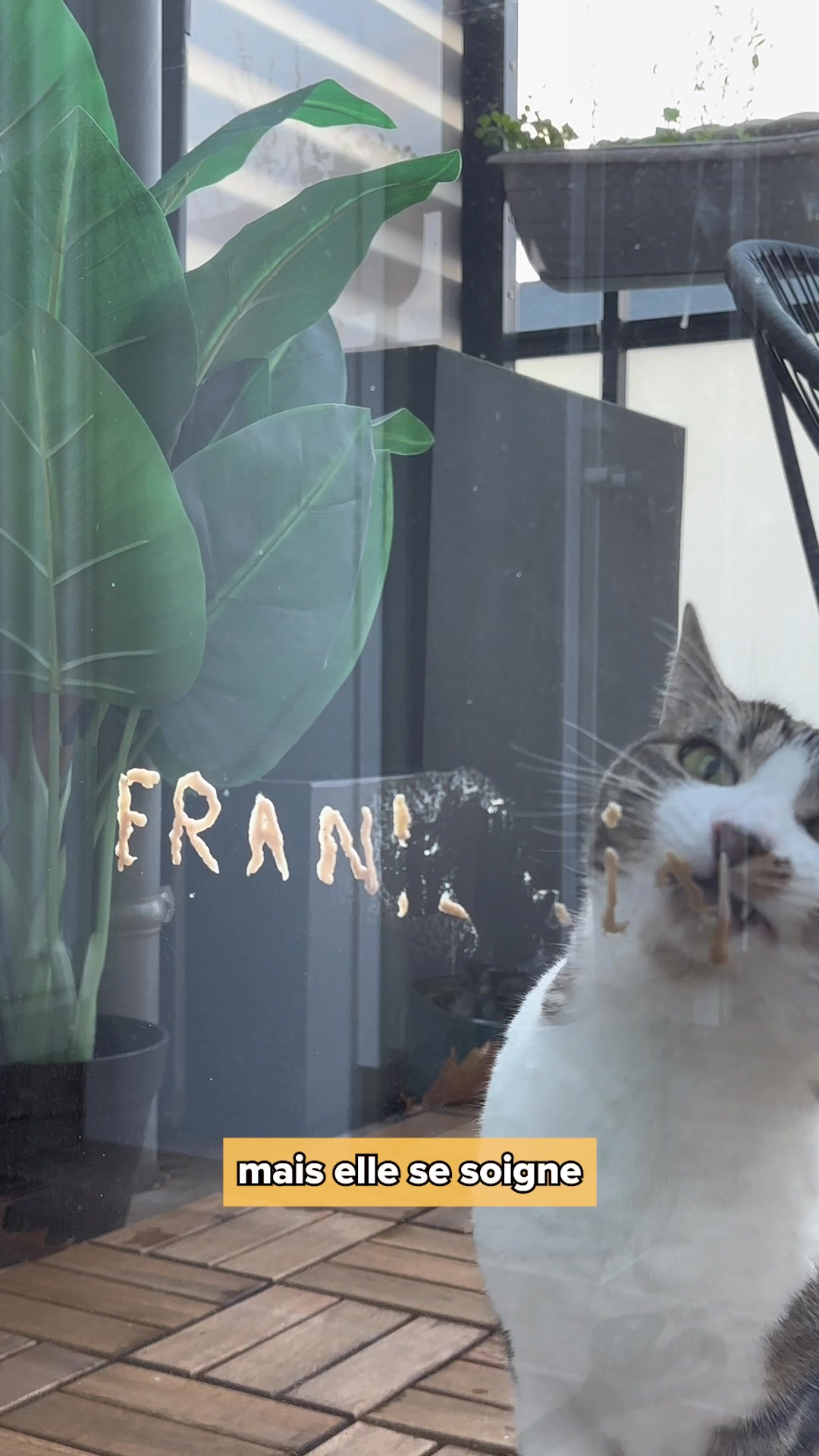 Franklin Pet Food Facebook ad: Nouvelle gamme de friandises