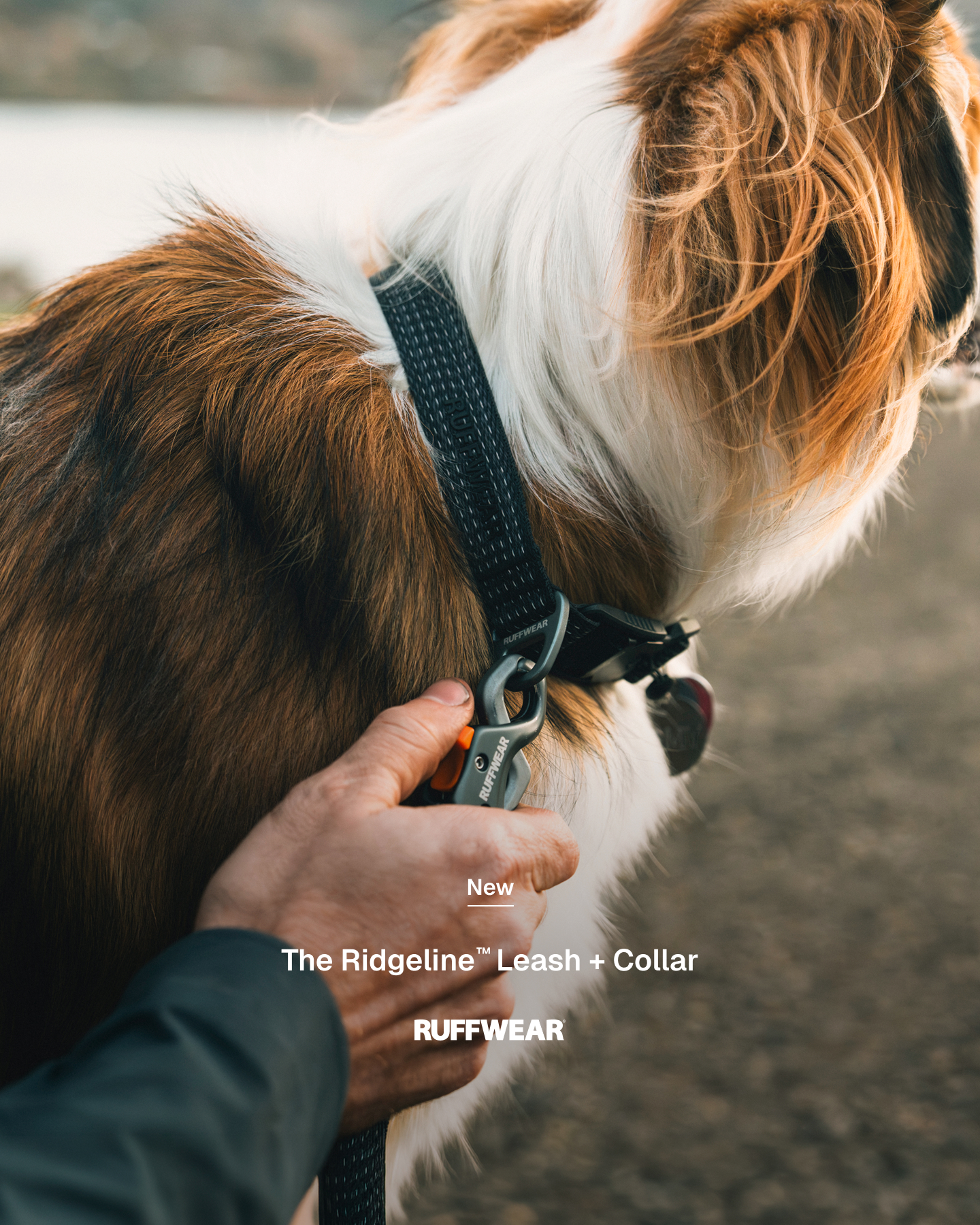 Ruffwear Facebook ad