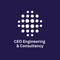 CEO Engineering & Consultancy