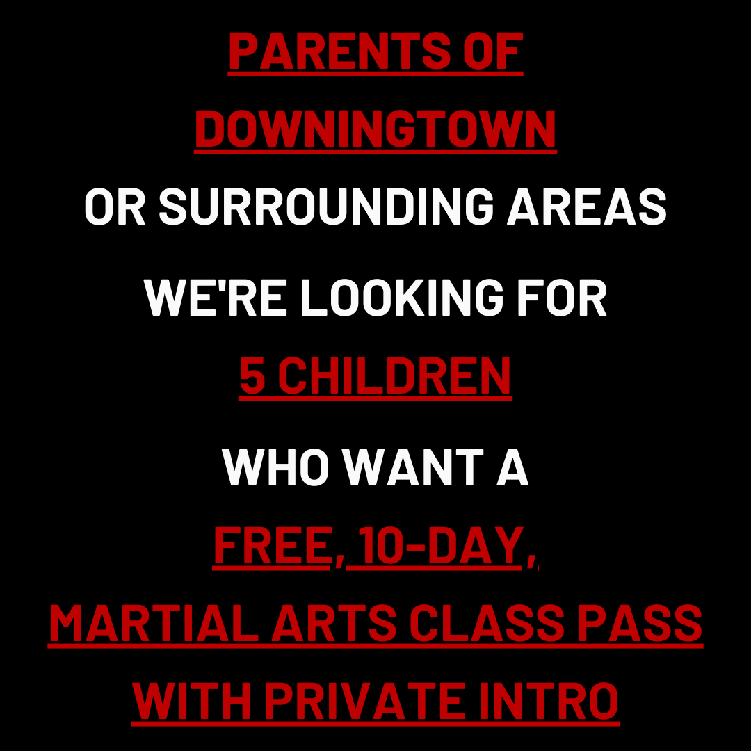 Lupo Taekwondo Facebook ad