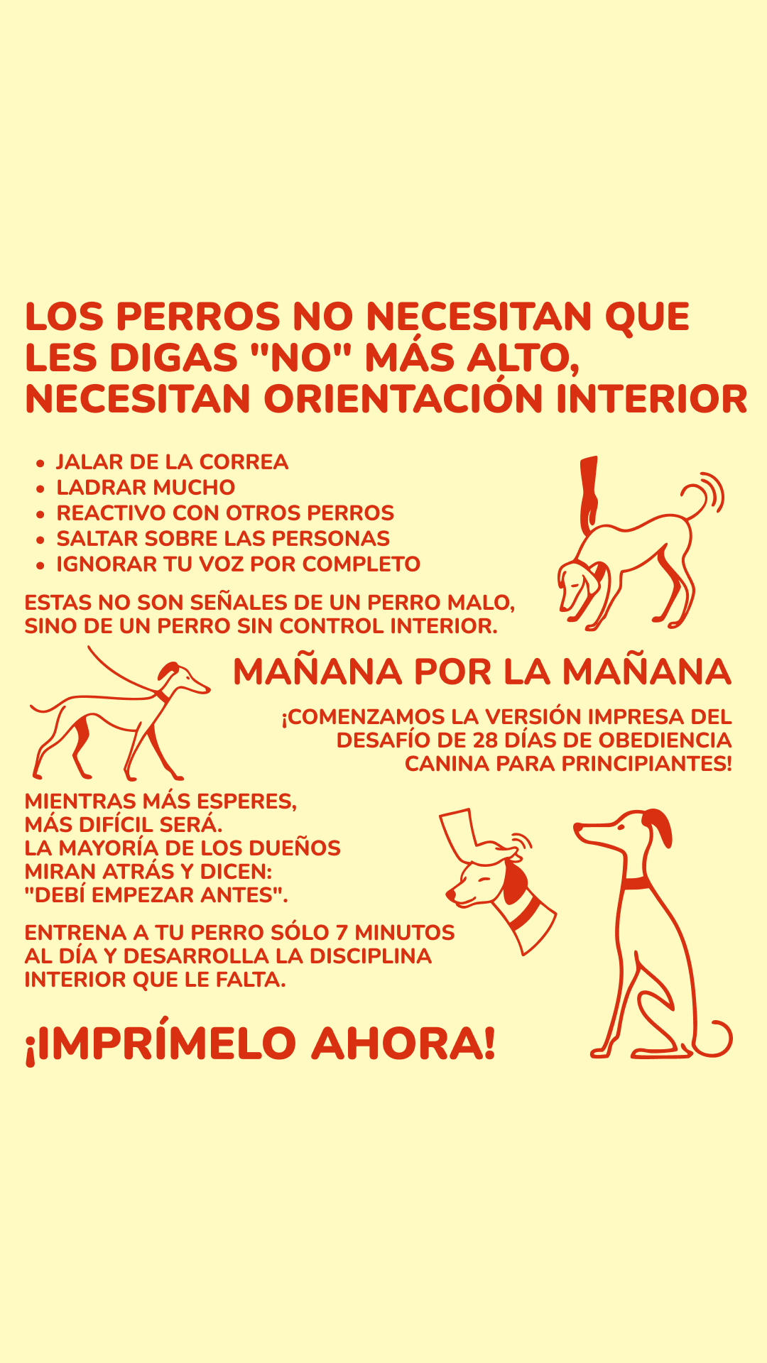 28 Day Dog Obedience Challenge Facebook ad