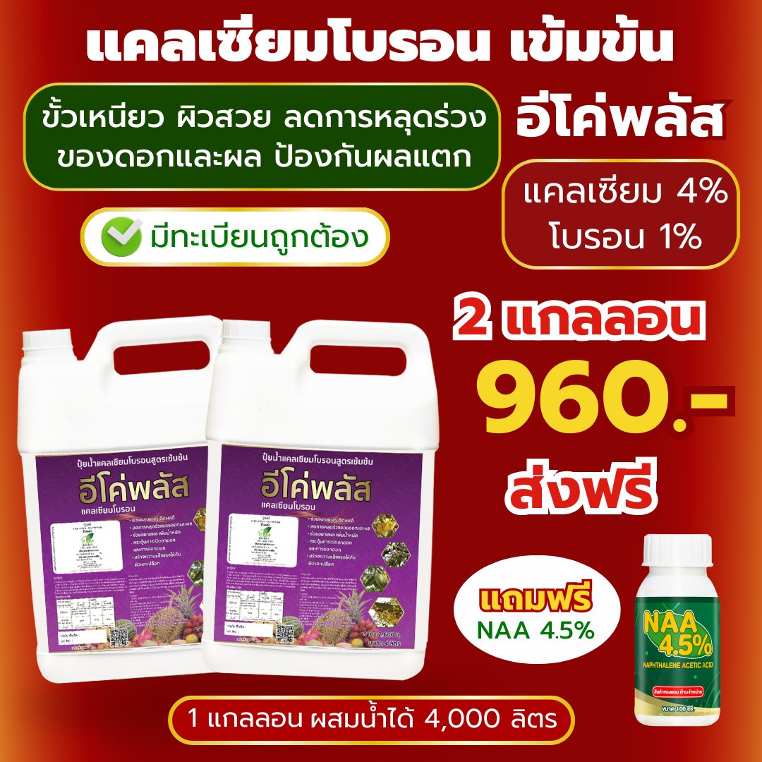 แคลเซียมโบรอนสูตรพรีเมี่ยม เร่งดอก ขั้วเหนียว ผลสวย ป้องกันผลแตก Facebook ad: ถูกกว่านี้ก็แจกฟรีแล้วครับพี่น้อง!