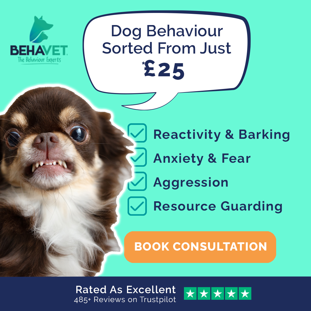 Behavet: The Pet Behaviour Experts Facebook ad