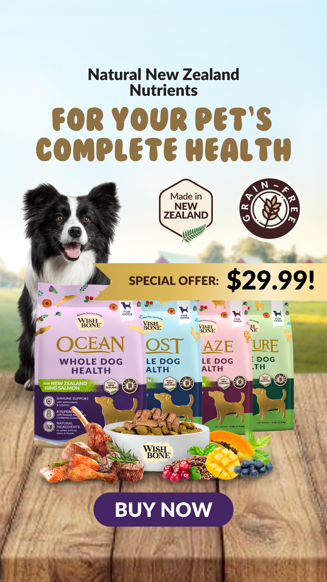 Wishbone Pet Food Facebook ad
