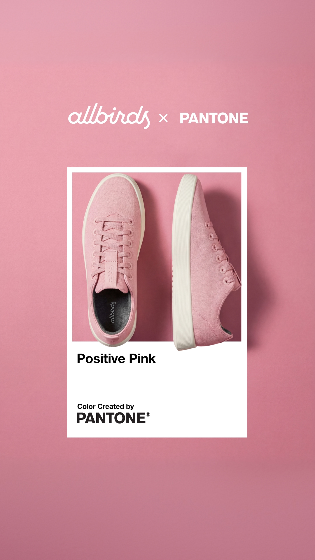 Allbirds Facebook ad