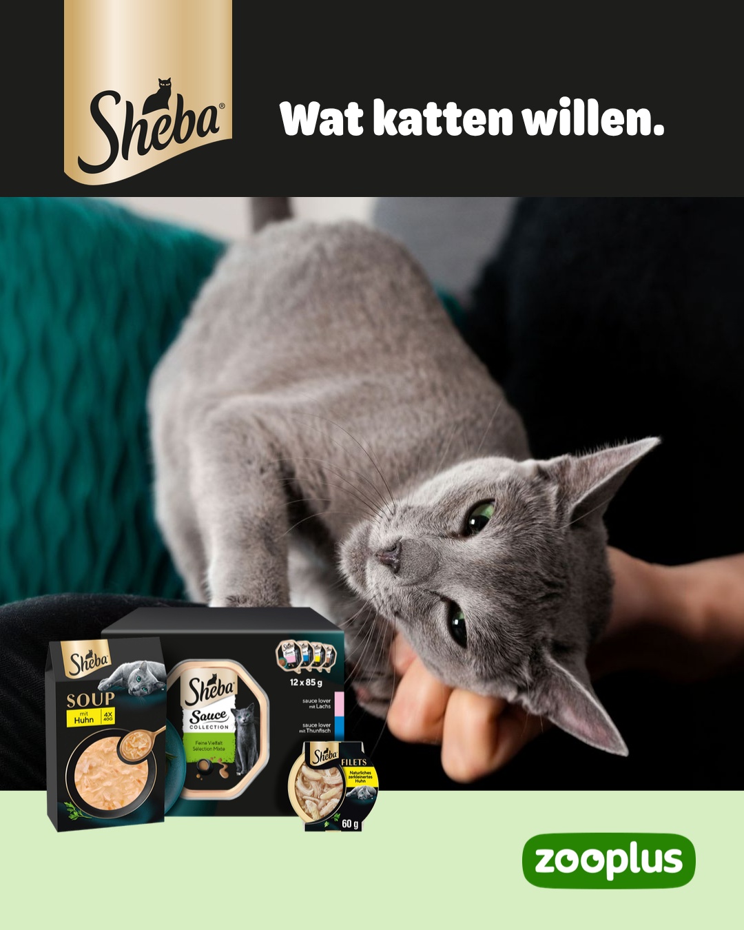 zooplus Facebook ad: SHEBA