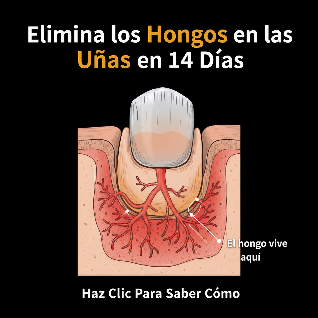 María Lucía Ospina Facebook ad: Así descubrí por qué ningún tratamiento para hongos me…