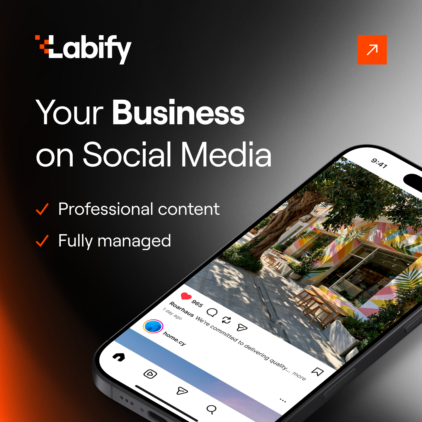 Labify Facebook ad