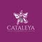 Cataleya Insurance
