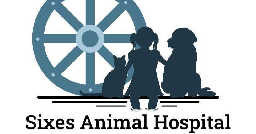 Sixes Animal Hospital at BridgeMill Facebook ad from Nov 4, 2022