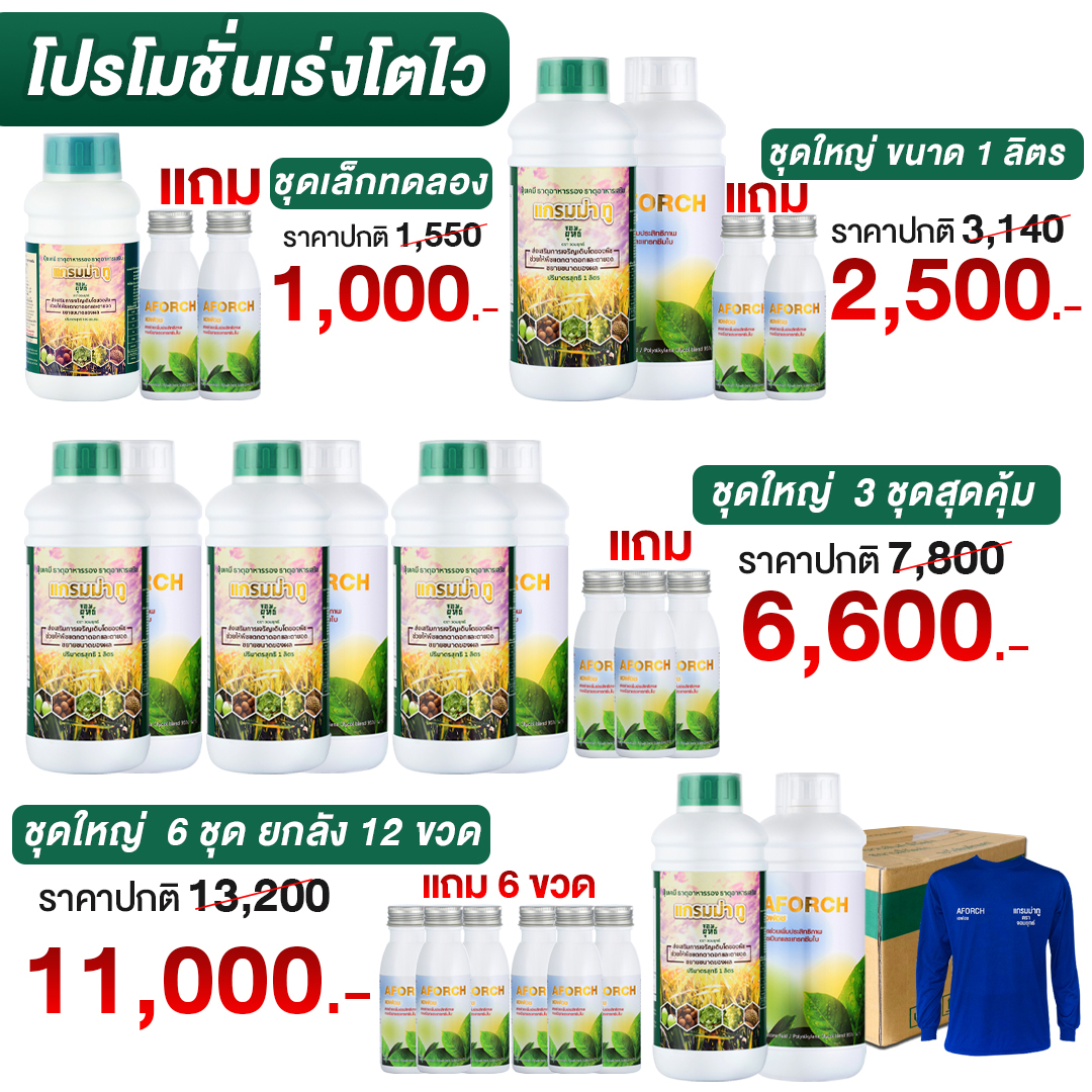 ปุ๋ยน้ำแกรมม่าทู เอฟอช - เพจบริษัท Facebook ad: กดสั่งซื้อโปรตรงนี้เลย จัดส่งไวมาก