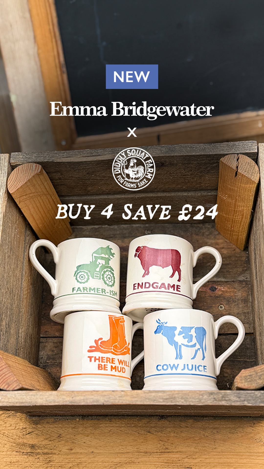 Emma Bridgewater Facebook ad from Aug 12, 2026