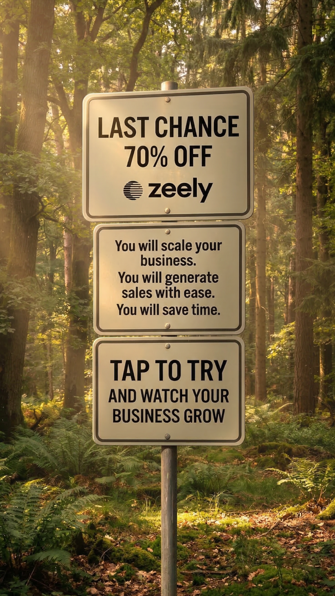 Zeely Facebook ad