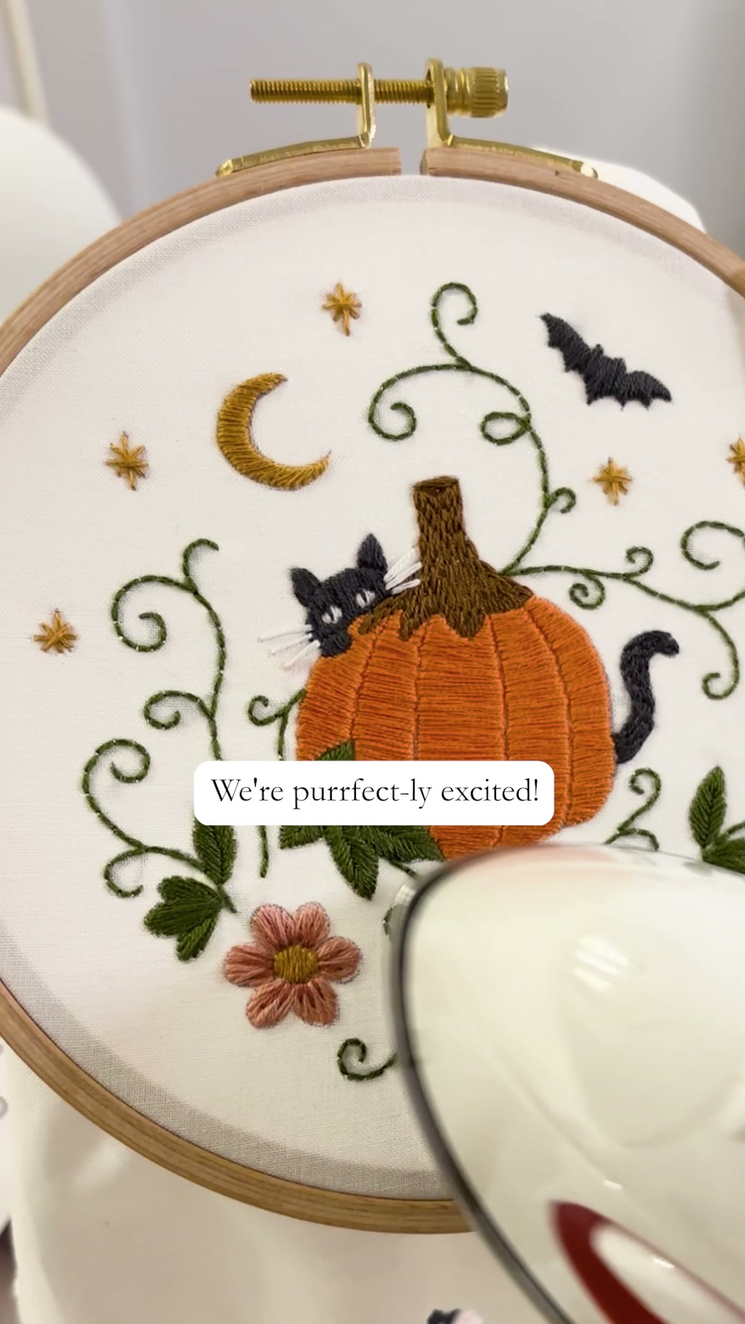 Clever Poppy Facebook ad: Embroidery Kit for Beginners