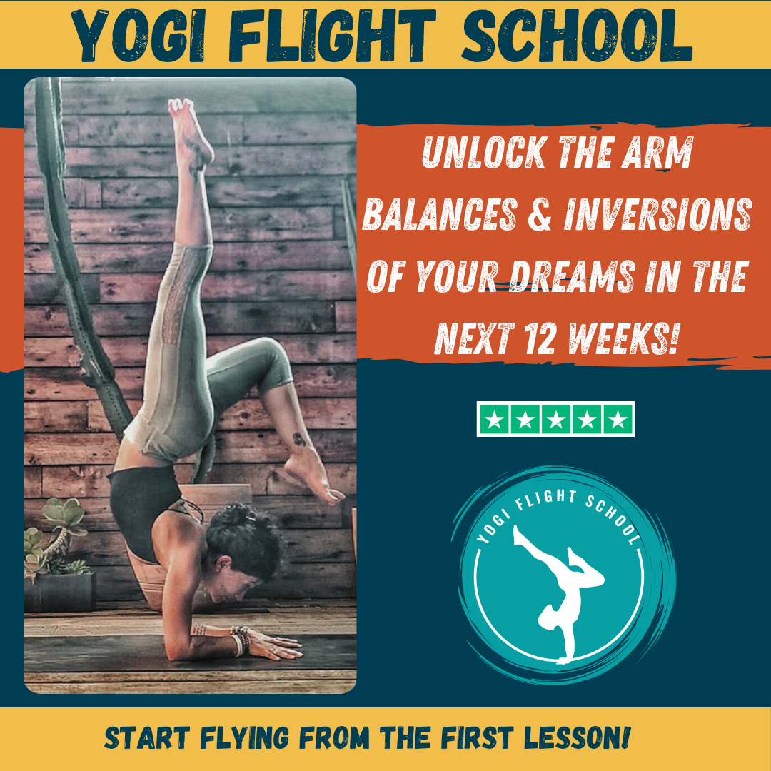 Yogi Flight School Facebook ad