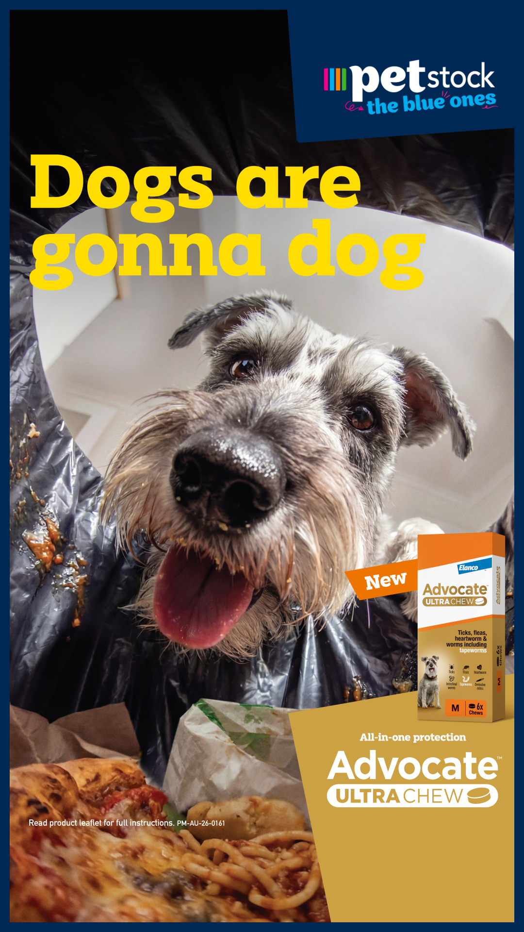Petstock Facebook ad