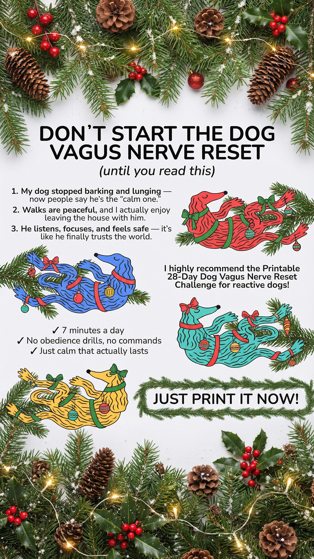 Dog's Vagus Nerve Reset Challenge Facebook ad