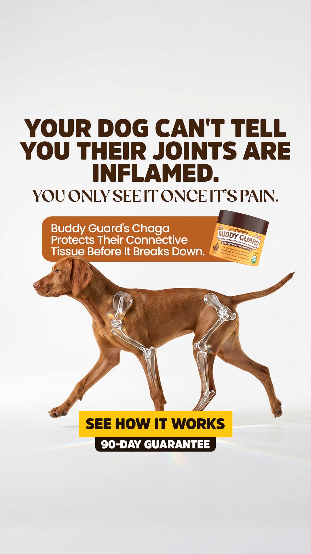 Well Pup Life Facebook ad