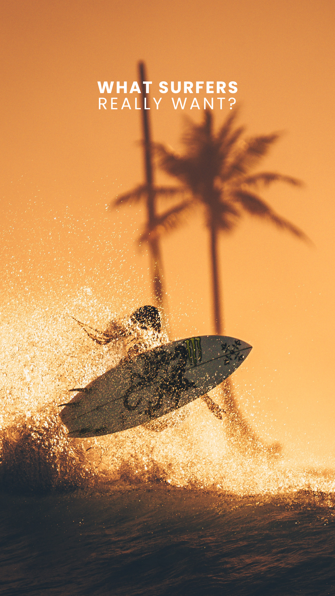 Vaya Mentawai Facebook ad: What surfers really want.