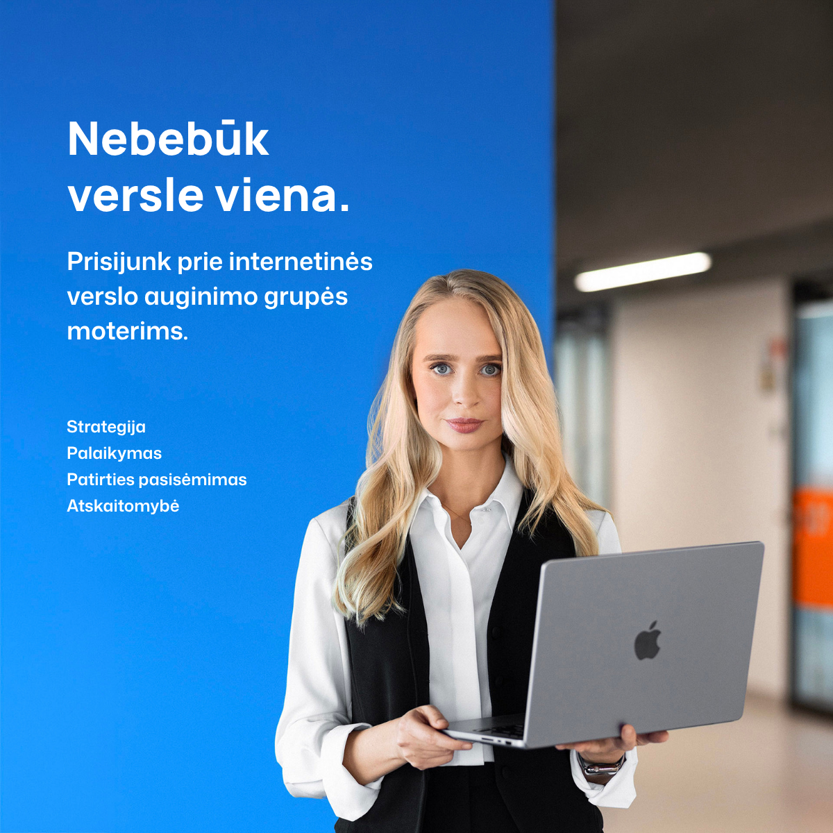 Verslo sparnai Facebook ad: LIKO 3 VIETOS