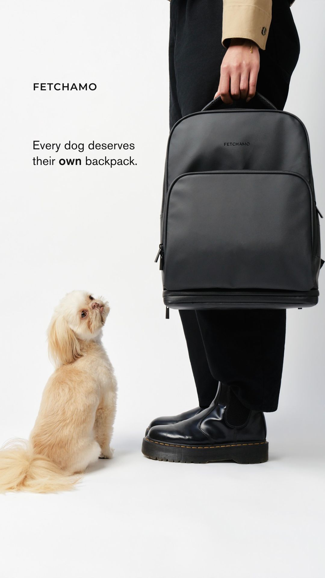 Fetchamouk Facebook ad: Style and function