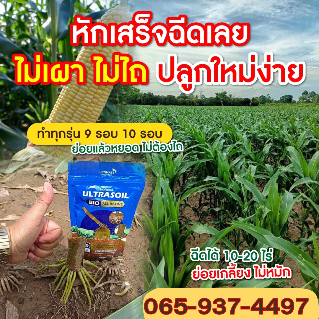 จุลินทรีย์ไบโอ ไฮโกร จอบทองของแท้100%เพจหลัก Facebook ad