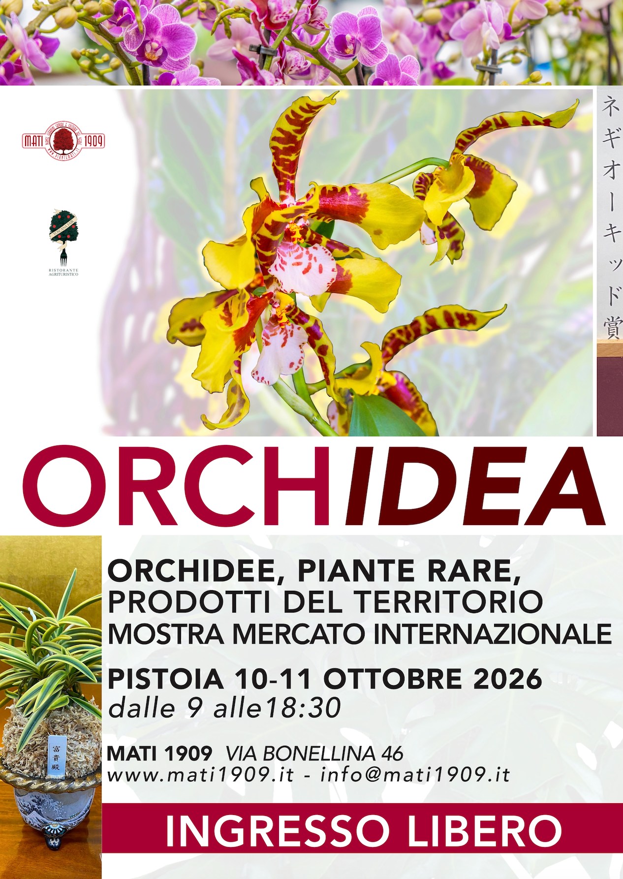 ORCHidea - Mostra Mercato Facebook ad: Appassionati di Orchidee e piante rare, ci siamo!