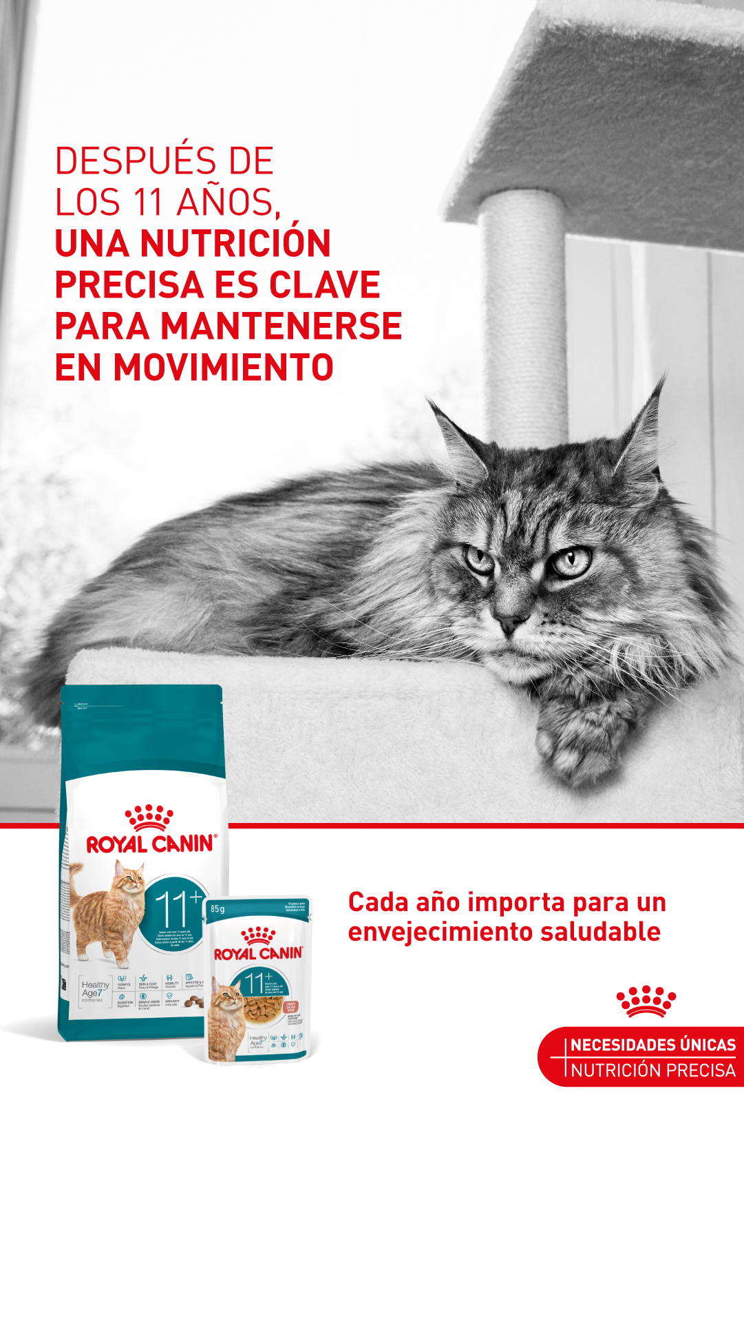 Royal Canin Facebook ad