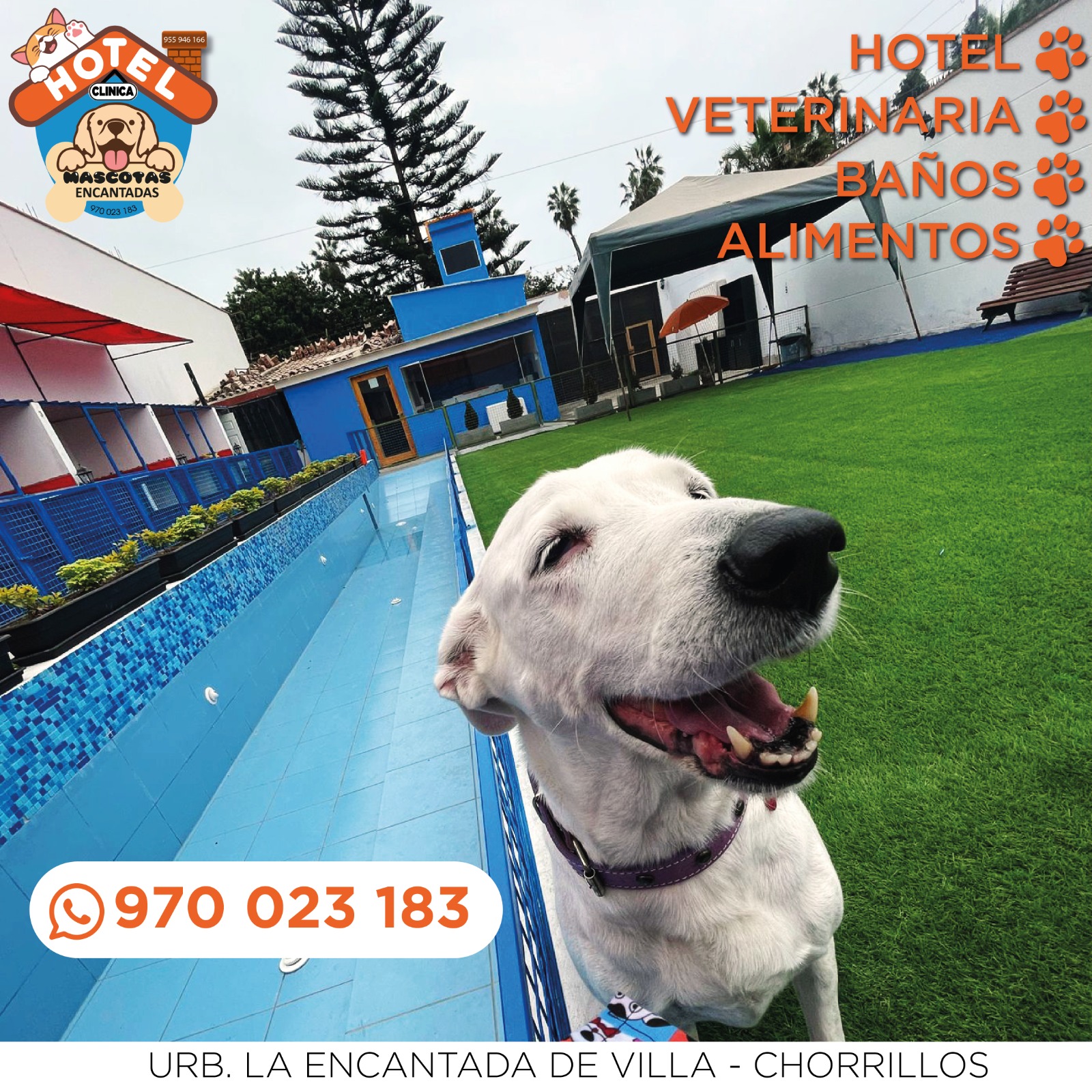 Hotel Mascotas Encantadas Facebook ad